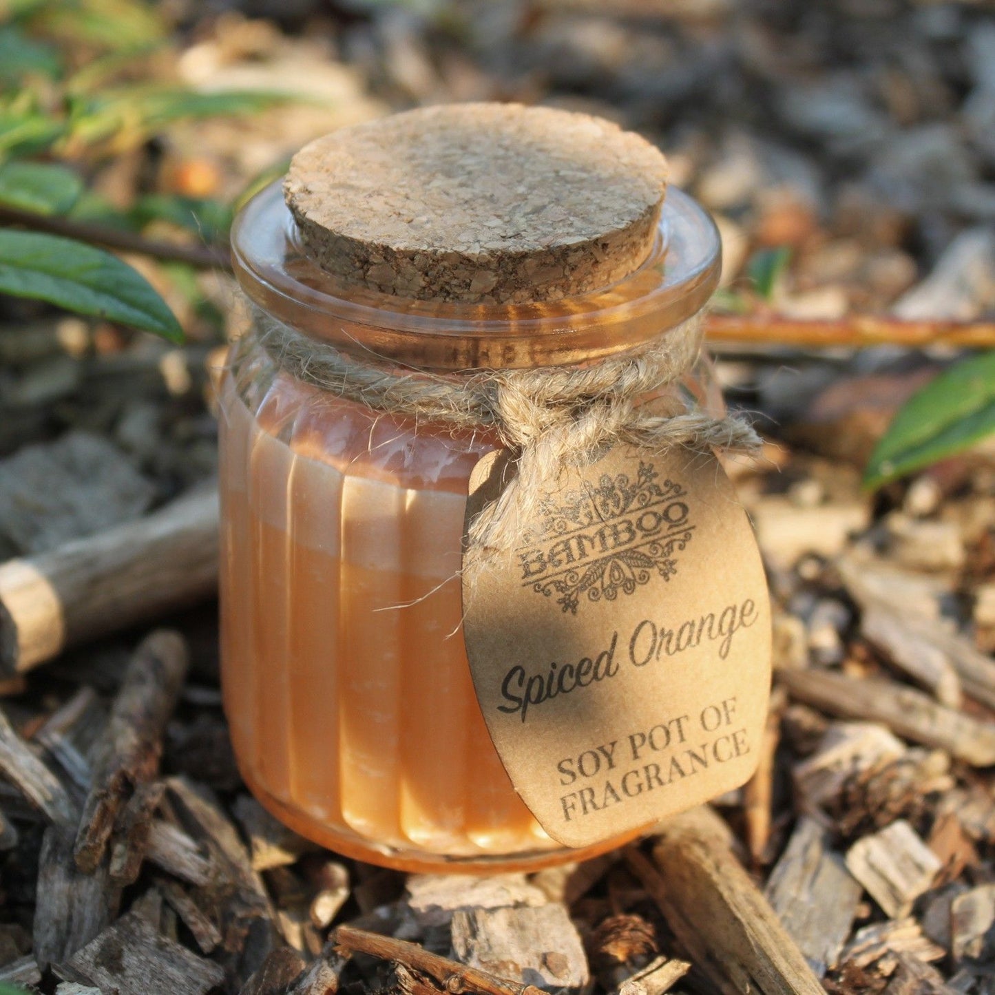 Spiced Orange Soy Pot of Fragrance Candles x 2