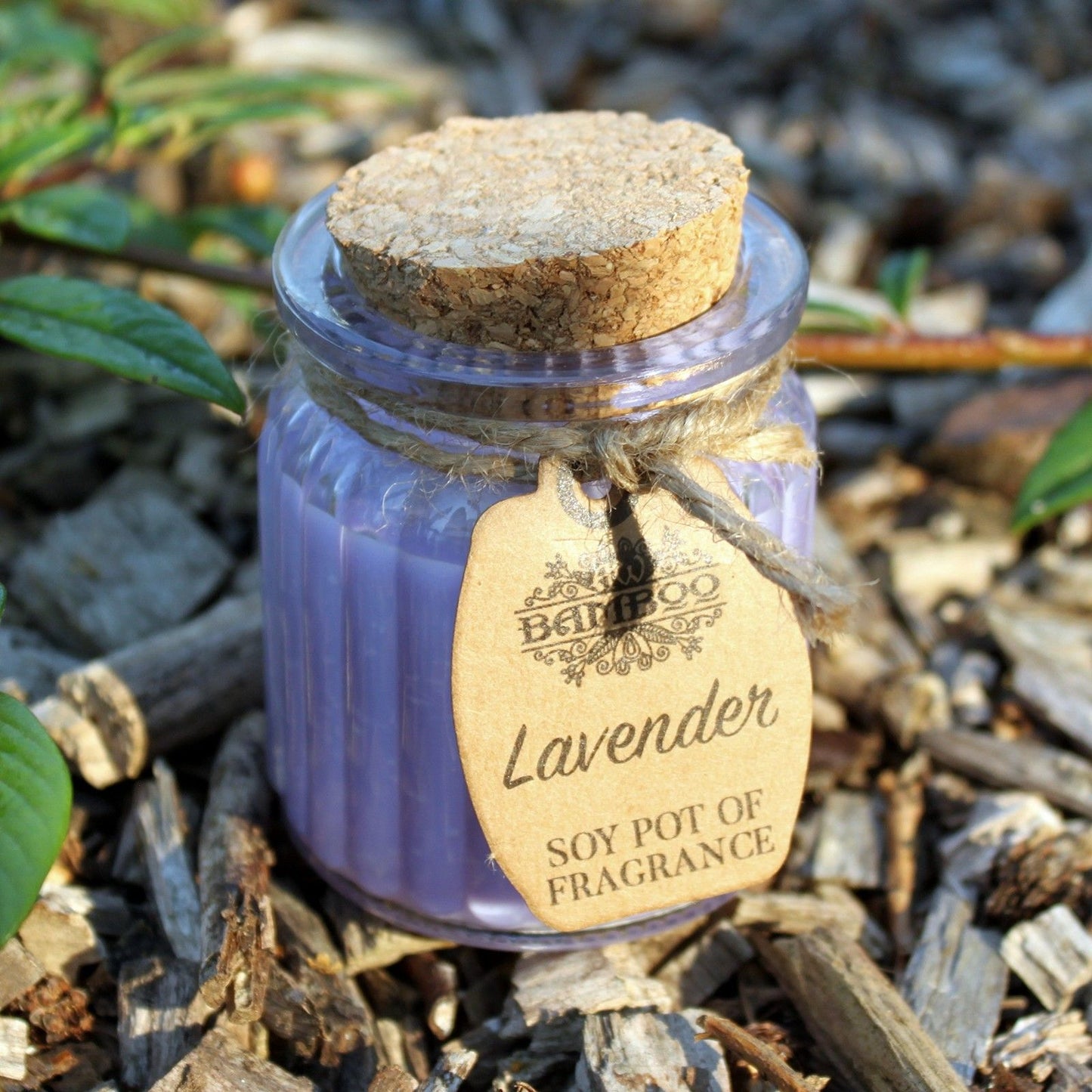Lavender Soy Pot of Fragrance Candles x 2