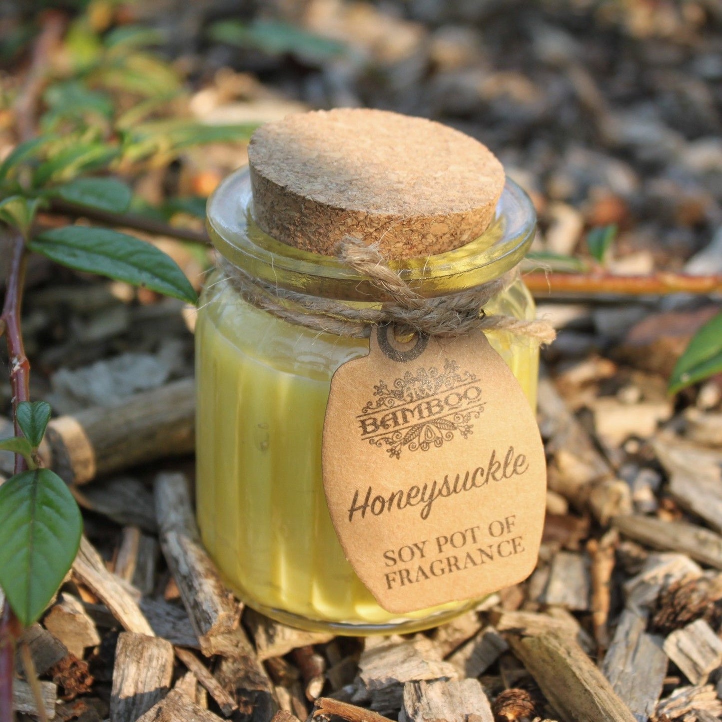 Honeysuckle Soy Pot of Fragrance Candles x 2