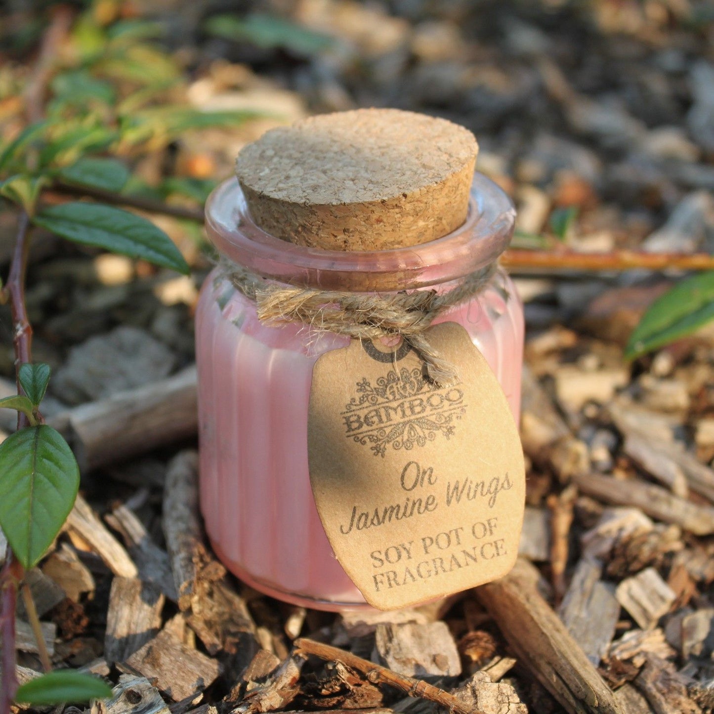 On Jasmine Wings Soy Pot of Fragrance Candles x 2