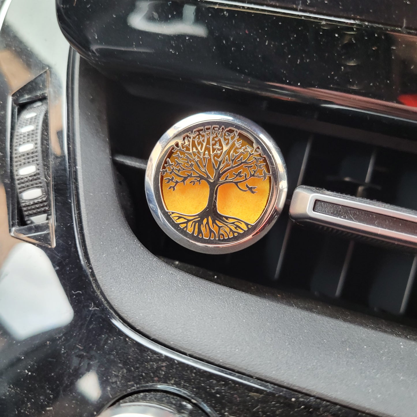 Car Diffuser and Grand tour oil