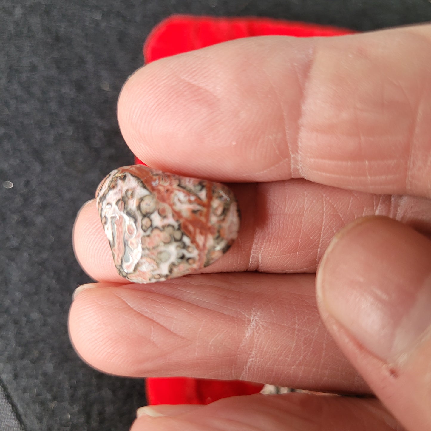 Leaperd skin jasper