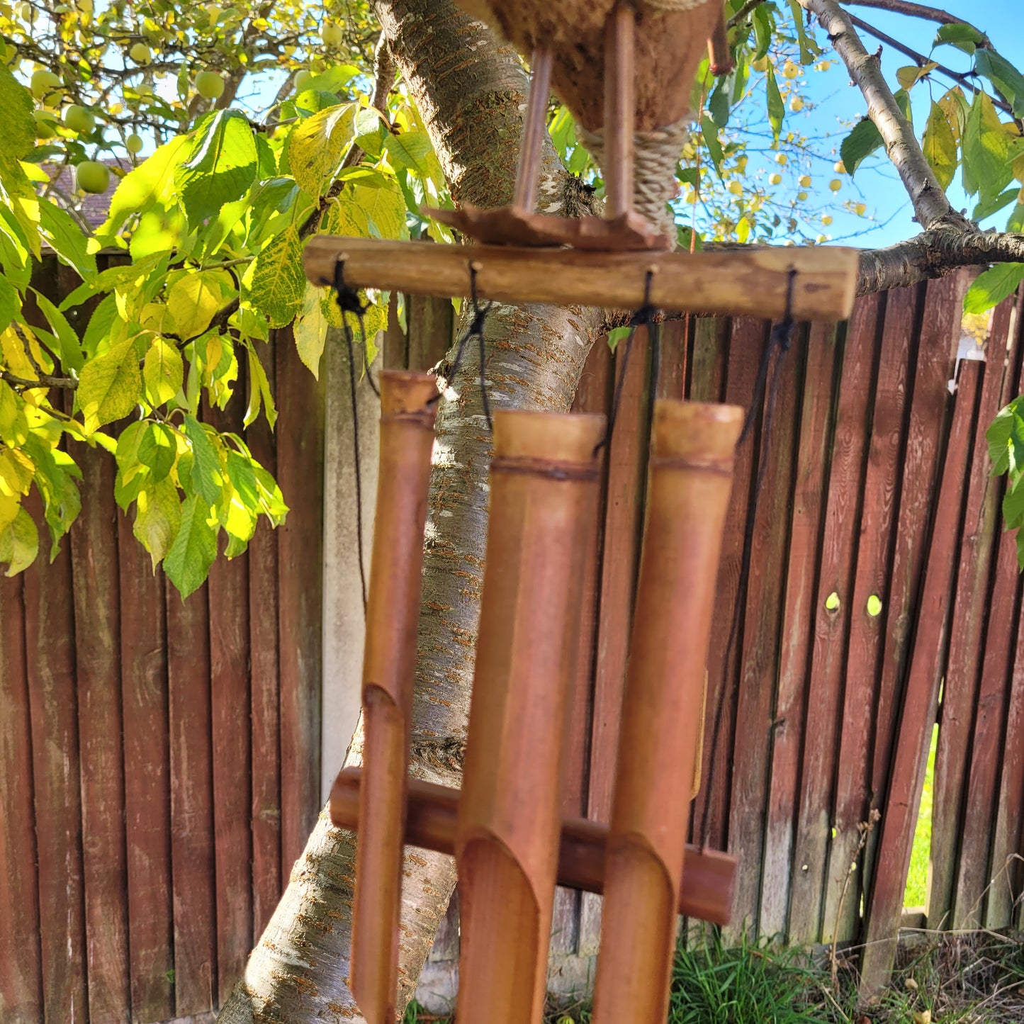 Coconut Dragon Wind Chimes