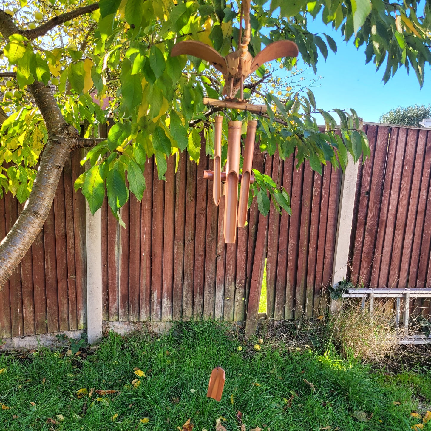 Coconut Dragon Wind Chimes